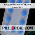 Leopard Miracle Of Honey Instructions 21